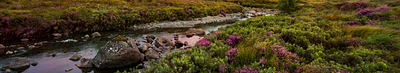 How are Geographical Indications (GIs) protected in the UK?  