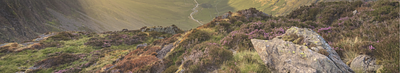 Celebrating Beatrix Potter – an IP enthusiast ahead of her time